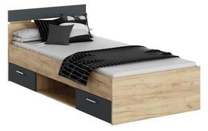 Jednolůžková postel 90 cm Michigin (dub artisan + grafit) (s úložným prostorem). 1096895