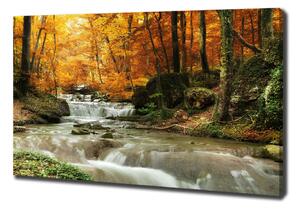 Foto obraz na plátně Vodopád v lese oc-64421594
