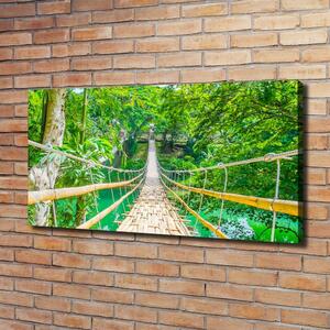 Foto obraz na plátně Most bambusový les oc-64435231