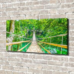 Foto obraz na plátně Most bambusový les oc-64435231