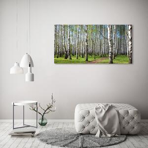 Fotoobraz na skle Břízový les osh-64516023