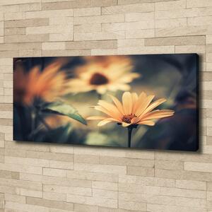 Moderní obraz canvas na rámu Jarní květ oc-64765143