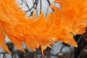 Oranžový závěsný věnec z pírek 25cm