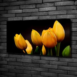 Foto obraz na plátně Žluté tulipány oc-64836622