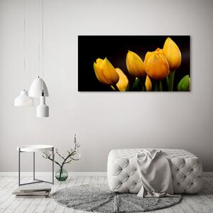 Foto obraz sklo tvrzené Žluté tulipány osh-64836622