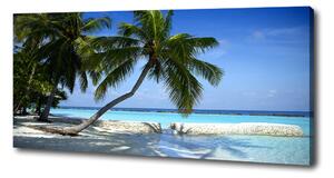 Foto obraz na plátně Tropická pláž oc-64894239