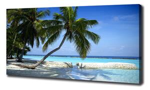 Foto obraz na plátně Tropická pláž oc-64894239