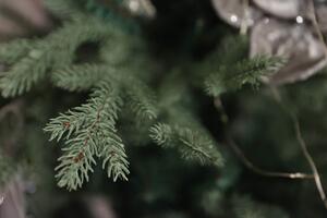 Kanadský lesní umělý vánoční stromek 3D+2D 150cm