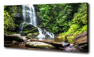 Foto obraz na plátně Vodopád v lese oc-65742204