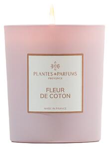 Plantes et Parfums de Provence Fleur de Coton