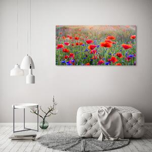 Foto obraz na plátně do obýváku Plolní květiny oc-65959167