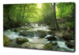 Foto obraz na plátně Vodopád v lese oc-65985516