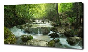 Foto obraz na plátně Vodopád v lese oc-65985516