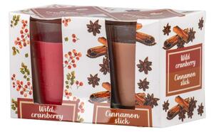 Emocio Sklo 52x65 mm 2 ks v krabičce Wild Cranberry & Cinnamon Stick, vonná svíčka
