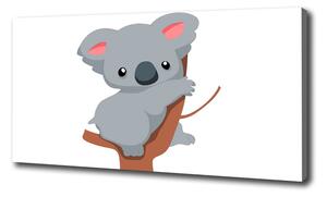 Foto obraz na plátně Koala na stromě oc-66617317