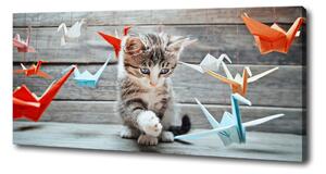 Foto obraz na plátně Kočka ptáci z papíru oc-66724934