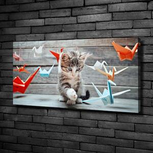 Foto obraz na plátně Kočka ptáci z papíru oc-66724934