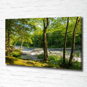 Foto obraz na plátně Řeka v lese oc-66915556