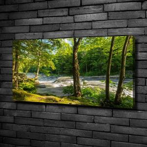 Foto obraz na plátně Řeka v lese oc-66915556