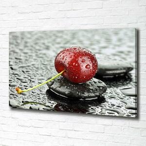 Foto obraz na plátně Třešeň v dešti oc-67079233