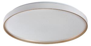 Rabalux 71453 LED přisazené stropní svítidlo Zerava | 60W integrovaný LED zdroj | 4100lm | 3000-6500K | dálkové ovládání | stmívač | zlatá