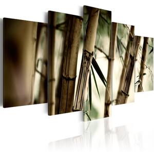 Obraz - Bambusový les