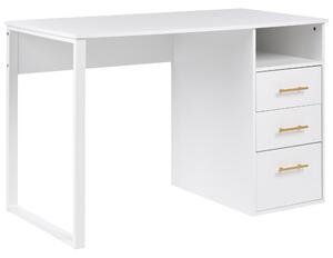 Pracovní stůl ZERLAY Bílá 120 cm 60 cm