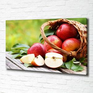 Foto obraz na plátně Jablka v košíku oc-68009680