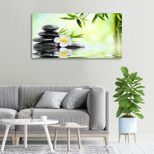 Moderní obraz canvas na rámu Orchidej a bambus oc-68618057