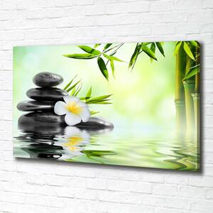 Moderní obraz canvas na rámu Orchidej a bambus oc-68618057