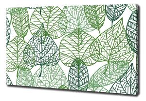 Moderní obraz canvas na rámu Zelené listí vzor oc-68927464