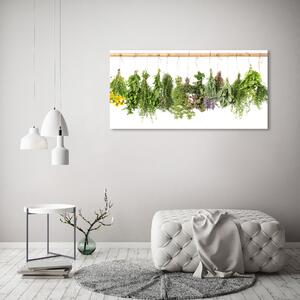 Moderní obraz canvas na rámu Bylina na provázku oc-68998544