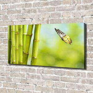 Foto obraz na plátně Bambus a motýl oc-69817087