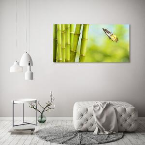 Foto obraz sklo tvrzené Bambus a motýl osh-69817087
