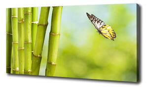 Foto obraz na plátně Bambus a motýl oc-69817087