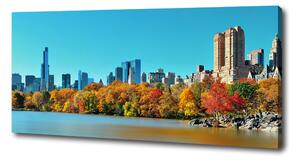 Foto obraz na plátně New York podzim oc-70676089