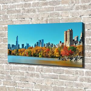Foto obraz na plátně New York podzim oc-70676089