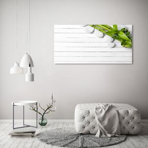 Moderní fotoobraz canvas na rámu Bambus oc-71294993