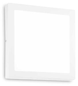 LED nástěnné a stropní svítidlo Ideal Lux Universal AP1 138657