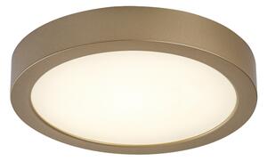 Rabalux 75078 - LED Koup. str. svítidlo SHAUN PLUS 24W/230V pr. 22 cm IP44 zlatá