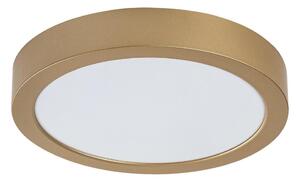 Rabalux 75078 - LED Koup. str. svítidlo SHAUN PLUS 24W/230V pr. 22 cm IP44 zlatá