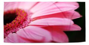 Sablio Ručník Růžová gerbera - 30x50 cm