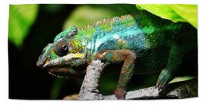 Sablio Ručník Chameleon - 30x50 cm