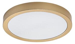Rabalux 75079 - LED Koup. str. svítidlo SHAUN PLUS 30W/230V pr. 30 cm IP44 zlatá