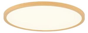 Rabalux 75085 - LED Koup. str. svítidlo LAUTREC 24W/230V pr. 40 cm IP44 béžová