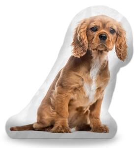 Sablio 3D polštář ve tvaru King charles spaniel