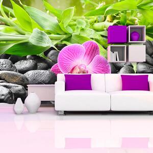 Sablio Tapeta Růžová orchidej - 125x75 cm