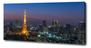 Foto obraz na plátně Věž v Tokio oc-71822864
