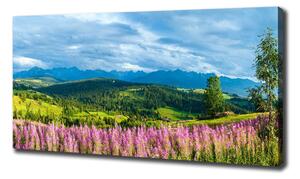 Foto obraz canvas Levandule v horách oc-71828150