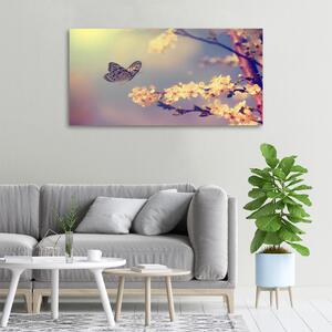 Moderní obraz canvas na rámu Květ viště a motýl oc-72331211